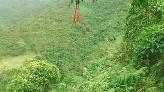 Sa Colombian nga diha sa Lasang aron sa Paghatag sa Pinulongan ug Giiyot uban sa mga Dumuloong sa Sex sa tawo nga arang ikabawi Alang sa Pinansyal nga Tabang.