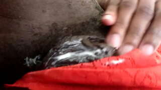 A miña primeira vid